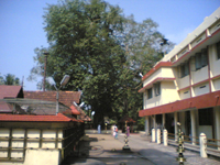 Kothakulangara Bhagavathy Temple